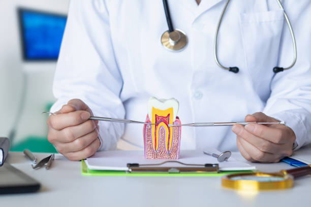 Best Emergency Dentist for Knocked-Out Tooth in Newville, PA